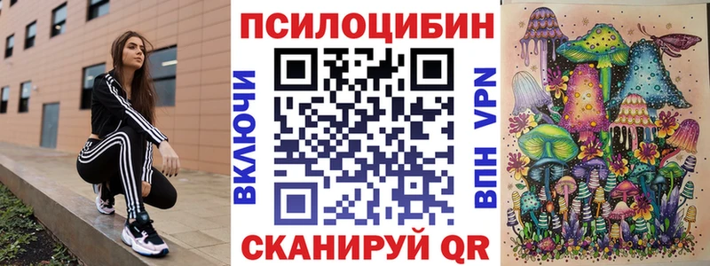 Псилоцибиновые грибы MAGIC MUSHROOMS  Купить закладки  Ахтубинск 